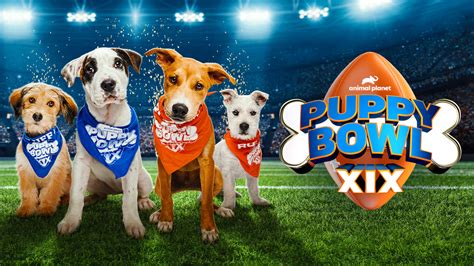 watch puppy bowl xix